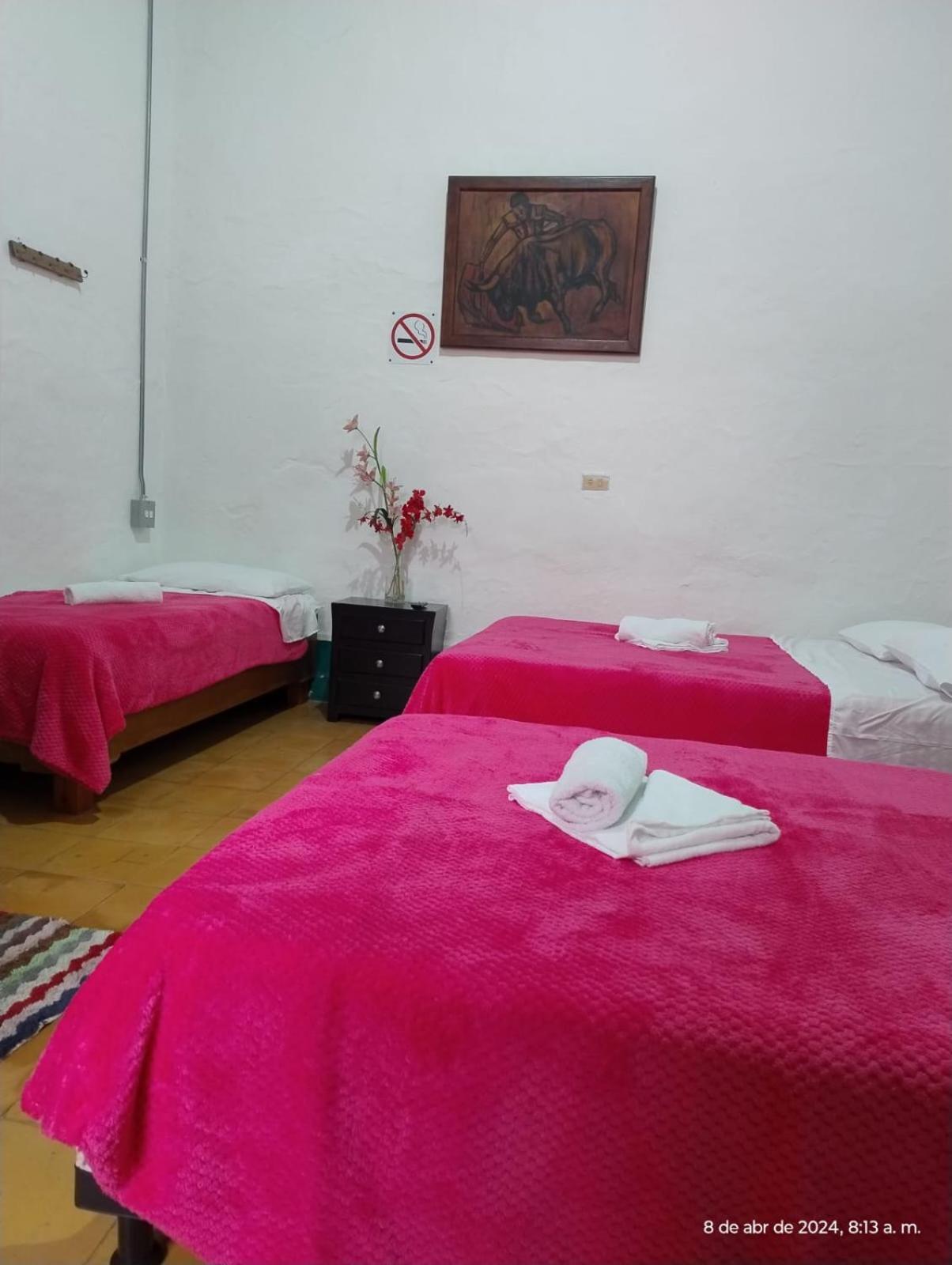 Jardin Es Tuyo Hotel Kültér fotó