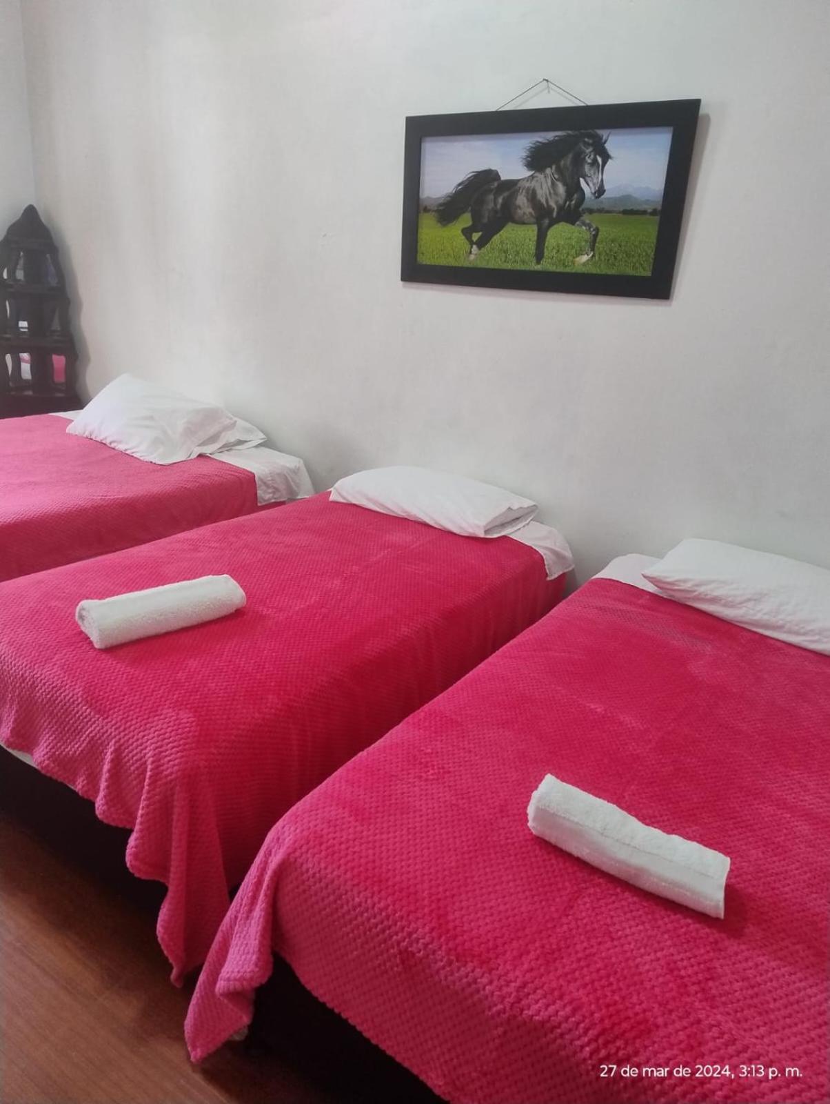 Jardin Es Tuyo Hotel Kültér fotó